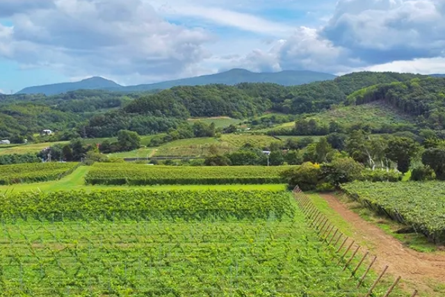 北海道「余市町」の風景写真